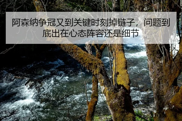 a-sen-na-zheng-guan-you-dao-guan-jian-shi-ke-diao-lian-zi-wen-ti-dao-di-chu-zai-xin-tai-zhen-rong-hai-shi-xi-jie-2-676.jpg